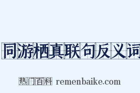 同游栖真联句反义词是什么意思的图片